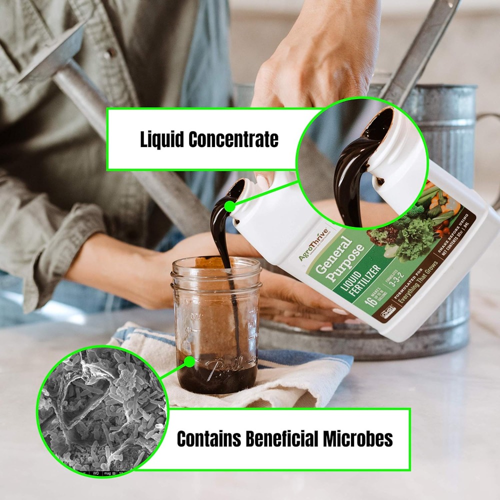 Fertilizante líquido orgánico  - Liquid Fertilizer All In reseña y precio