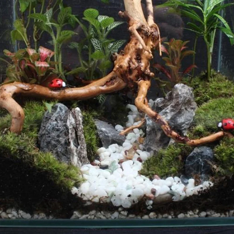 Tronco de árbol Natural, mader - Aquarium Plant Root Tabs reseña y precio