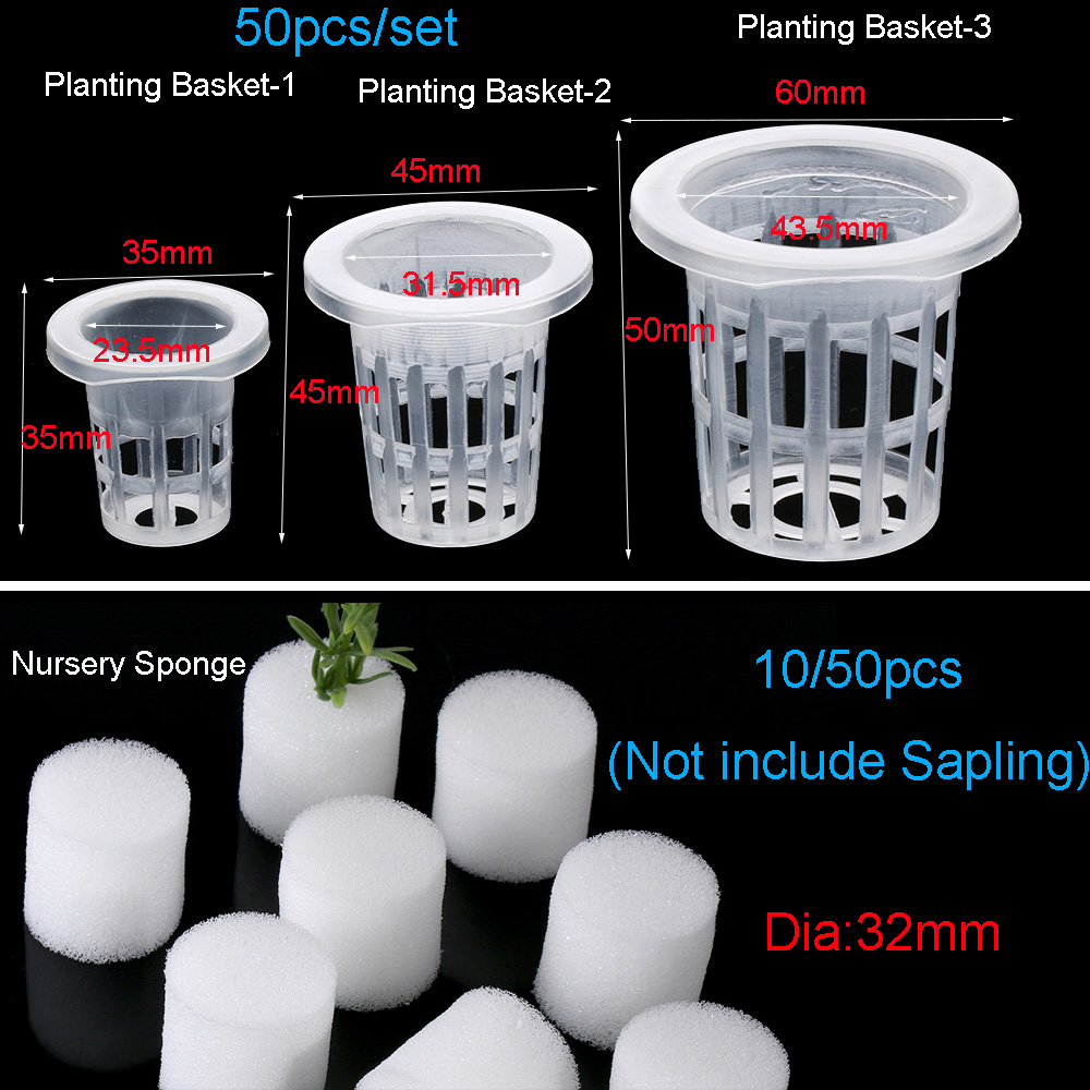 Bandejas de semillas hidropóni - Aquarium Planted Seeds reseña y precio