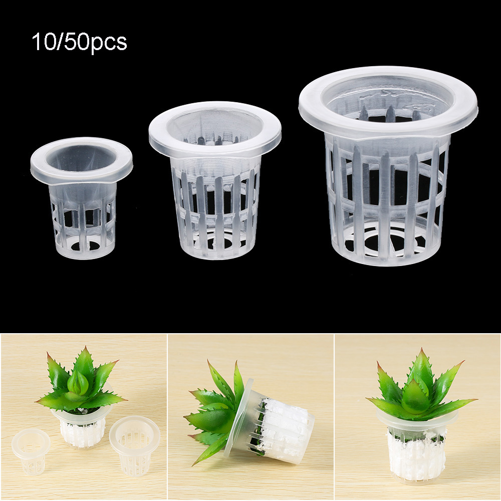 Suministros de jardín para pla - Aquarium Planted Seeds reseña y precio