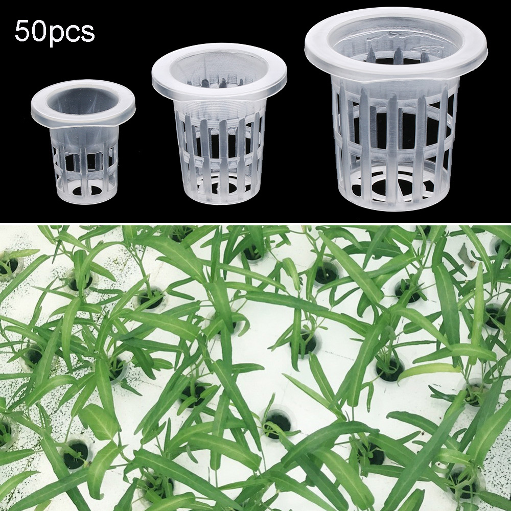 Suministros de jardín para pla - Aquarium Planted Seeds reseña y precio